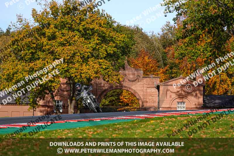 anglesey;brands hatch;cadwell park;croft;donington park;enduro digital images;event digital images;eventdigitalimages;mallory;no limits;oulton park;peter wileman photography;racing digital images;silverstone;snetterton;trackday digital images;trackday photos;vmcc banbury run;welsh 2 day enduro